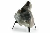 Dark Smoky Quartz Crystal Cluster on Metal Stand - Brazil #349476-1